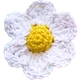 The Friendly Daisy